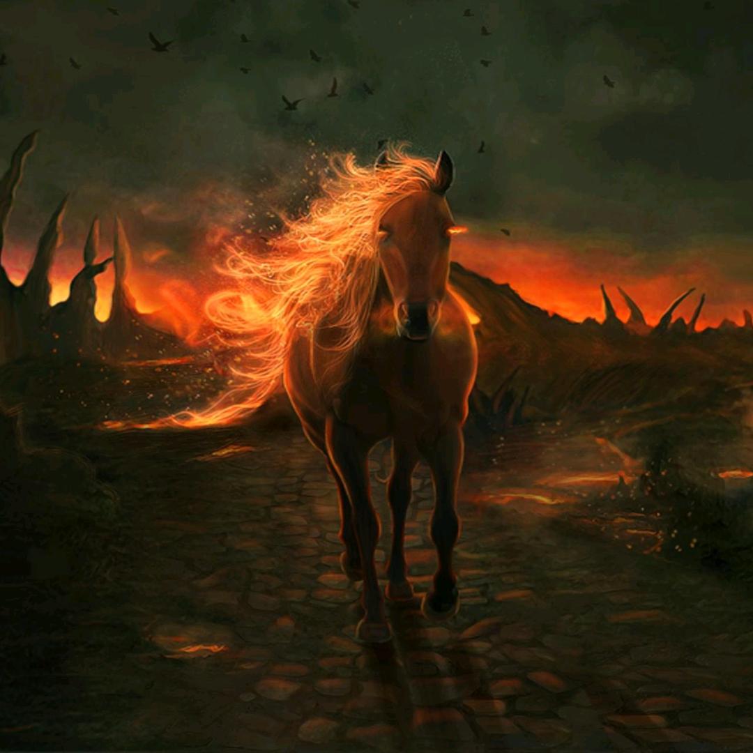 Dark Storm 715